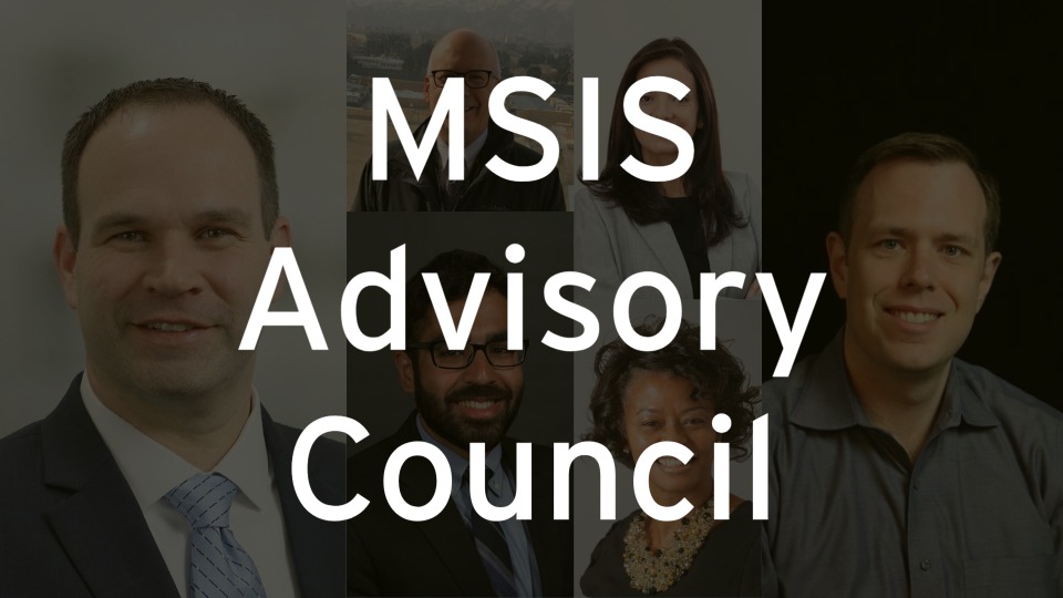 MSIS Advisory Council