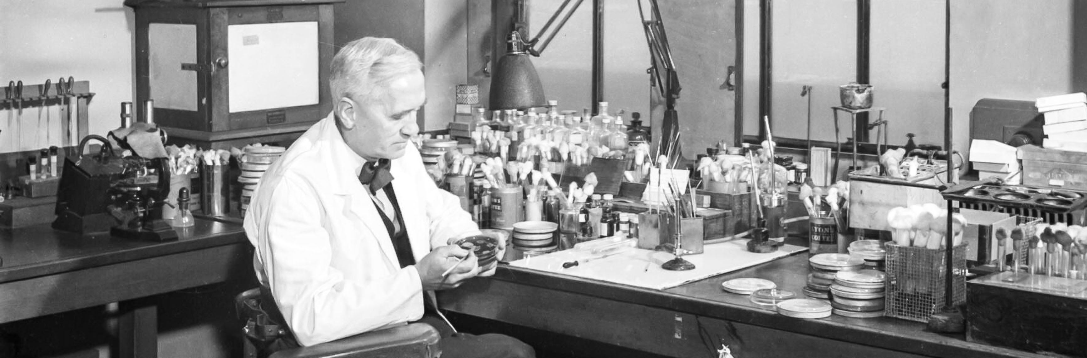 Alexander fleming discovered penicillin. Бартоломео Гозио пенициллин.