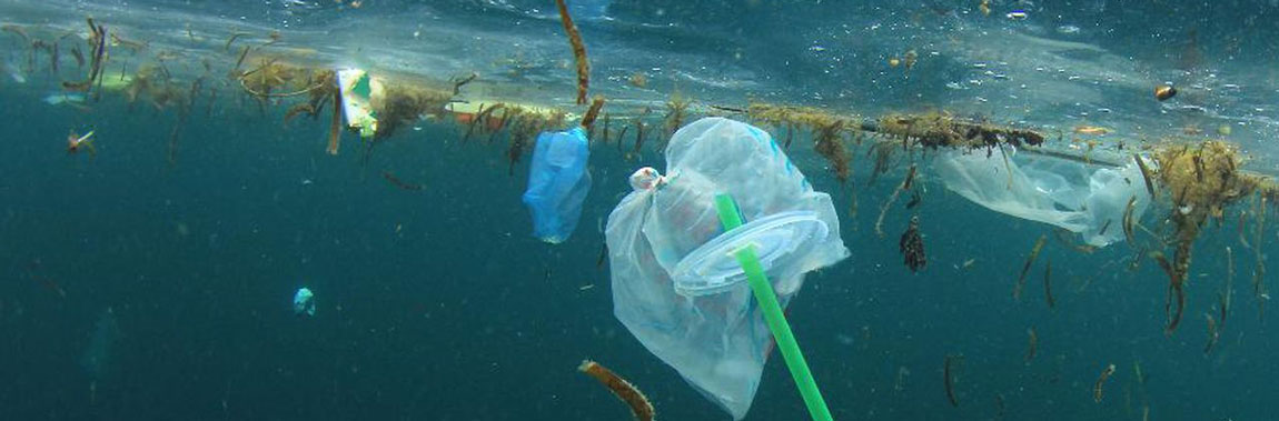 Time for a Plastic Revolution?