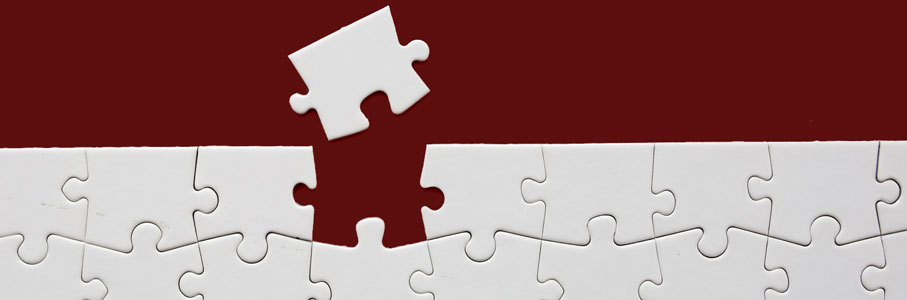 Cracking the Wall Street Earnings Puzzle